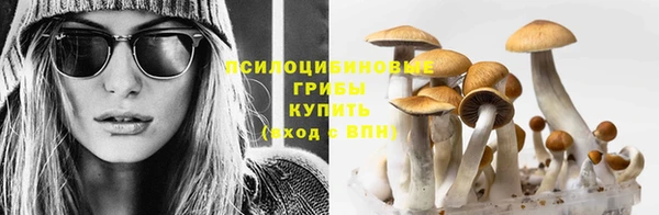 мдпв Тихорецк