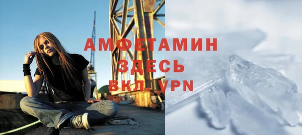 индика Верея