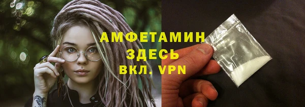 индика Верея