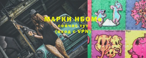 индика Верея
