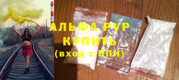 индика Верея